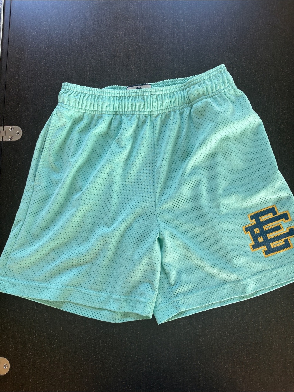 Eric Emanuel Seafoam Green Mesh Shorts with EE Logo